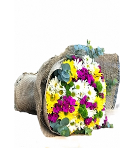 Elazığ Çiçek 585